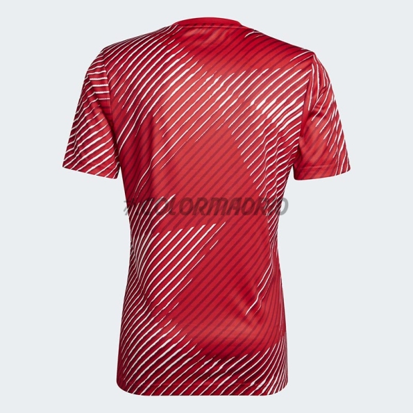 Japan Soccer Jersey 2022 Pre-Match Red/White