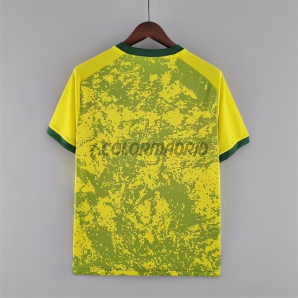 Brazil Special Edition Yellow/Green Soccer Jersey 2022