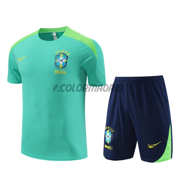 Camiseta de Entrenamiento Brasil 2023 Verde