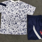 Camiseta Francia Pre-partido 2020 Niño Kit