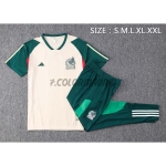 Camiseta de Entrenamiento México 2022 Kit Beige/Verde