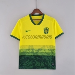 Brazil Special Edition Yellow/Green Soccer Jersey 2022